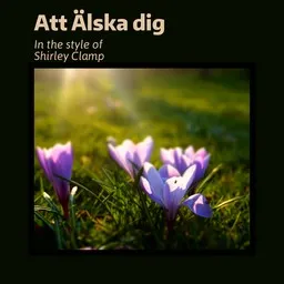 Karaokekappaleen Att Älska dig - Shirley Clamp kansikuva