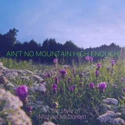 Cover art for Ain't No Mountain High Enough - Michael McDonald karaoke version