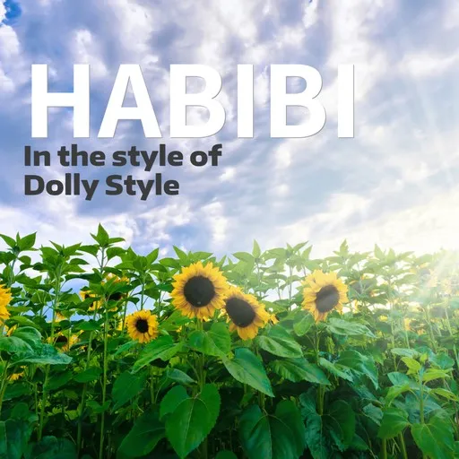 Habibi - Karaoke
