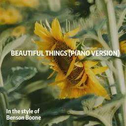 Karaokekappaleen Beautiful Things (Piano Version) - Benson Boone kansikuva