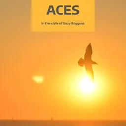 Titelbild für Aces - Suzy Bogguss Karaoke-Version
