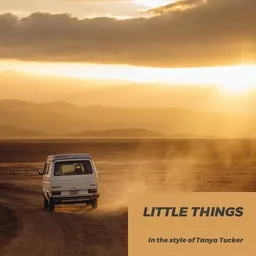 Cover art for Little Things - Tanya Tucker karaoke version
