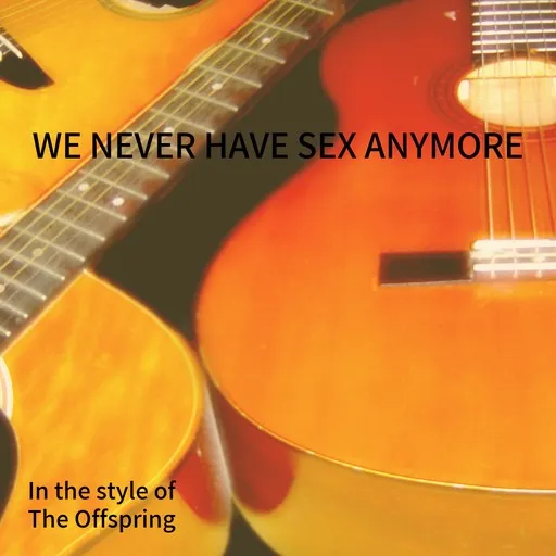 We Never Have Sex Anymore - Karaoke