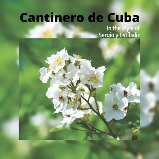 Karaoke Cantinero de Cuba av Sergio y Estíbaliz — sjung med på texten på Singa