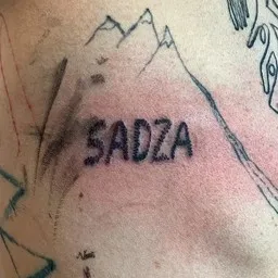 Cover art for Sadza - Brodka karaoke version