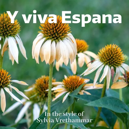 Y viva Espana - Karaoke