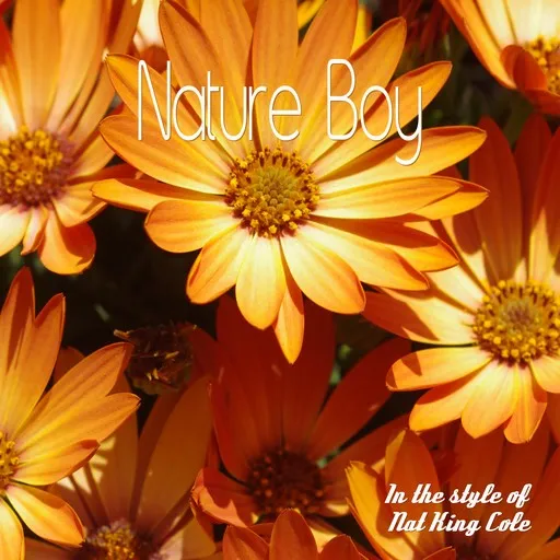 Karaoke Nature Boy von Nat King Cole — mit Songtext mitsingen auf Singa