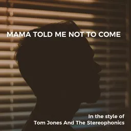 Titelbild für Tom Jones And The Stereophonics