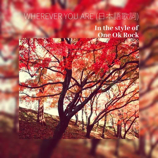 Karaoke Wherever You Are (JP text) von One Ok Rock (ワンオクロック) — mit Songtext mitsingen auf Singa