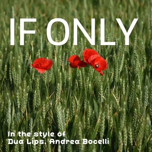 Karaoke If Only esittäjältä Andrea Bocelli, Dua Lips — laula mukana sanoituksilla Singassa