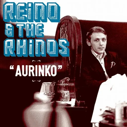 Karaoke Aurinko esittäjältä Reino & The Rhinos — laula mukana sanoituksilla Singassa