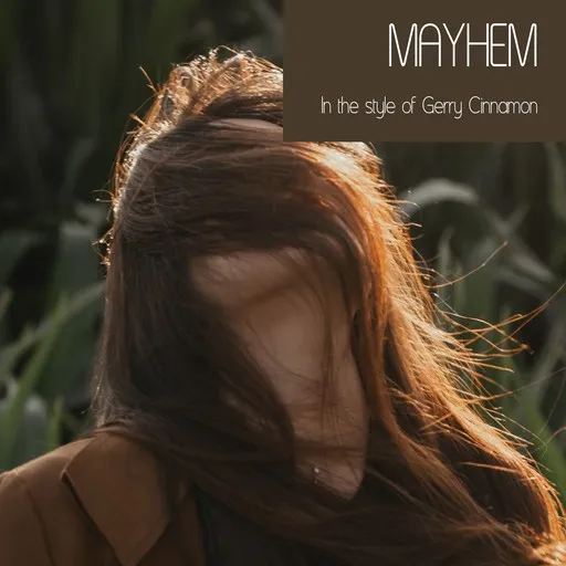 Karaoke Mayhem by Gerry Cinnamon — sing along with lyrics on Singa