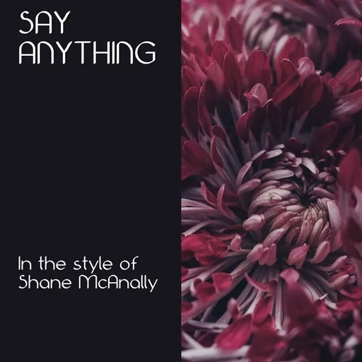Karaoke Say Anything esittäjältä Shane McAnally — laula mukana sanoituksilla Singassa
