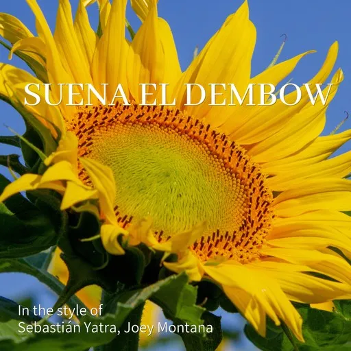 Karaoke Suena el Dembow by Joey Montana, Sebastián Yatra — sing along with lyrics on Singa