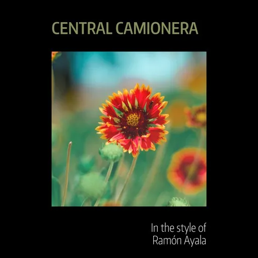Central Camionera - Karaoke
