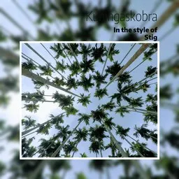 Cover art for Kuningaskobra - Stig karaoke version