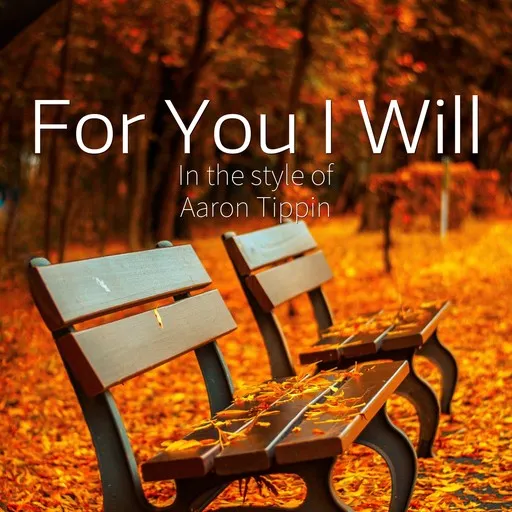 For You I Will - Karaoke