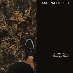 Titelbild für Marina Del Rey - George Strait Karaoke-Version