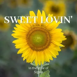 Titelbild für Sweet Lovin' - Sigala Karaoke-Version