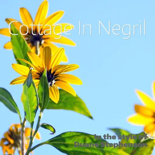Karaoke Cottage In Negril by Duane Stephenson — sing along with lyrics on Singa