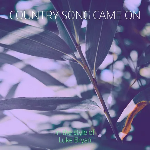Karaoke Country Song Came On by Luke Bryan — sing along with lyrics on Singa