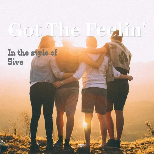 Got The Feelin' - Karaoke