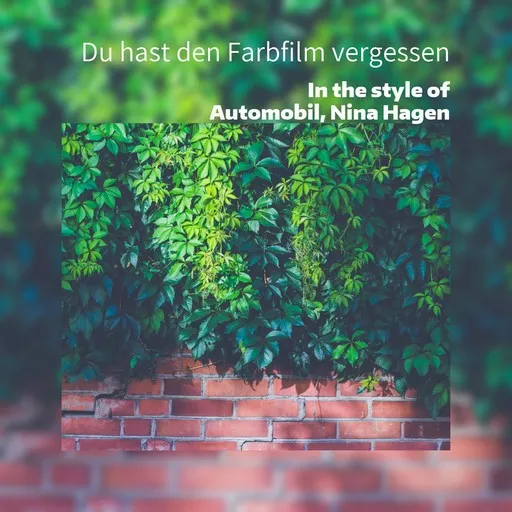 Du hast den Farbfilm vergessen - Karaoke