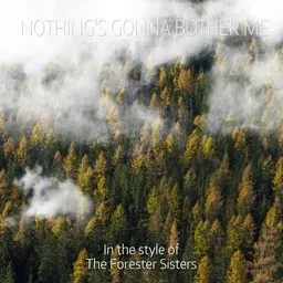 Titelbild für Nothing's Gonna Bother Me - The Forester Sisters Karaoke-Version