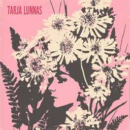 Cover art for Haaveiden maa - Tarja Lunnas karaoke version