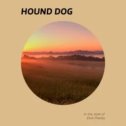 Cover art for Hound Dog - Elvis Presley karaoke version