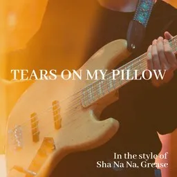 Cover art for Tears On My Pillow - Grease,Sha Na Na karaoke version