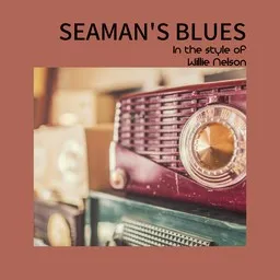 Cover art for Seaman's Blues - Willie Nelson karaoke version