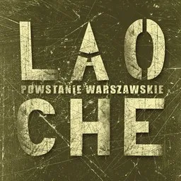 Cover art for Godzina W - Lao Che karaoke version