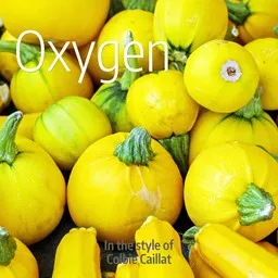 Cover art for Oxygen - Colbie Caillat karaoke version