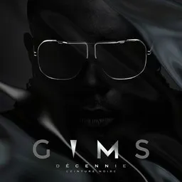 Cover art for Hola Señorita - Gims,Maluma karaoke version