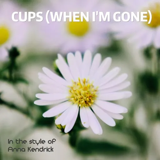 Cups (When I'm Gone) - Karaoke