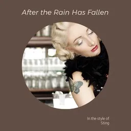 Omslagsbild för After the Rain Has Fallen - Sting karaokeversion