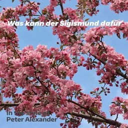 Titelbild für Was kann der Sigismund dafür - Peter Alexander Karaoke-Version