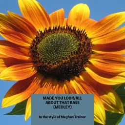 Cover art for Made You Look/All About That Bass (Medley) - Meghan Trainor karaoke version