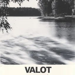 Cover art for Valot - Rauli Badding Somerjoki karaoke version