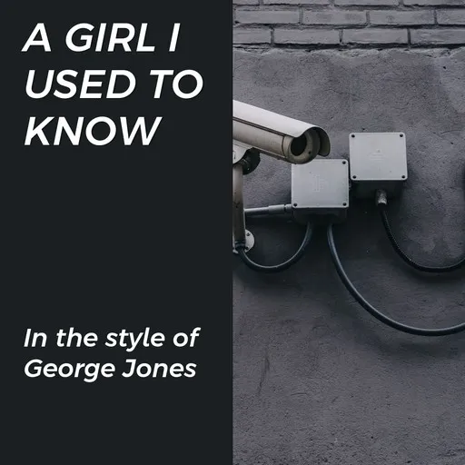 Karaoke A Girl I Used To Know von George Jones — mit Songtext mitsingen auf Singa