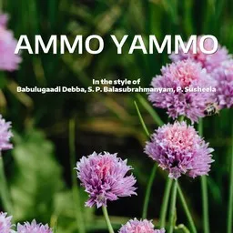 Cover art for Ammo Yammo - Babulugaadi Debba,P. Susheela,S. P. Balasubrahmanyam karaoke version