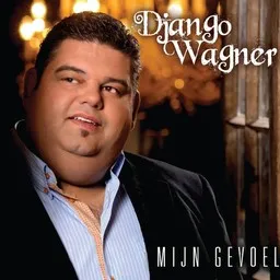 Cover art for In De Zomer - Django Wagner karaoke version