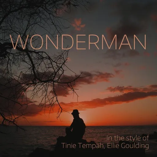 Karaoke Wonderman by Ellie Goulding, Tinie Tempah — sing along with lyrics on Singa
