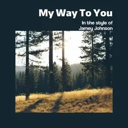 Cover art for My Way To You - Jamey Johnson karaoke version