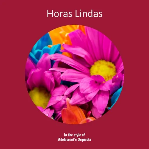 Horas Lindas - Karaoke