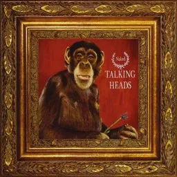 Karaokekappaleen (Nothing But) Flowers - Talking Heads kansikuva