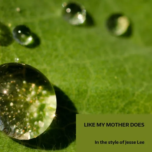 Karaoke Like My Mother Does by Jesse Lee — sing along with lyrics on Singa