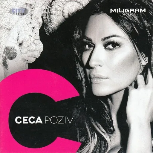 Karaoke Vidimo Se Daso by Ceca — sing along with lyrics on Singa