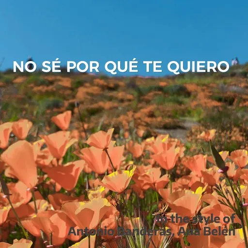 No Sé por Qué Te Quiero - Karaoke